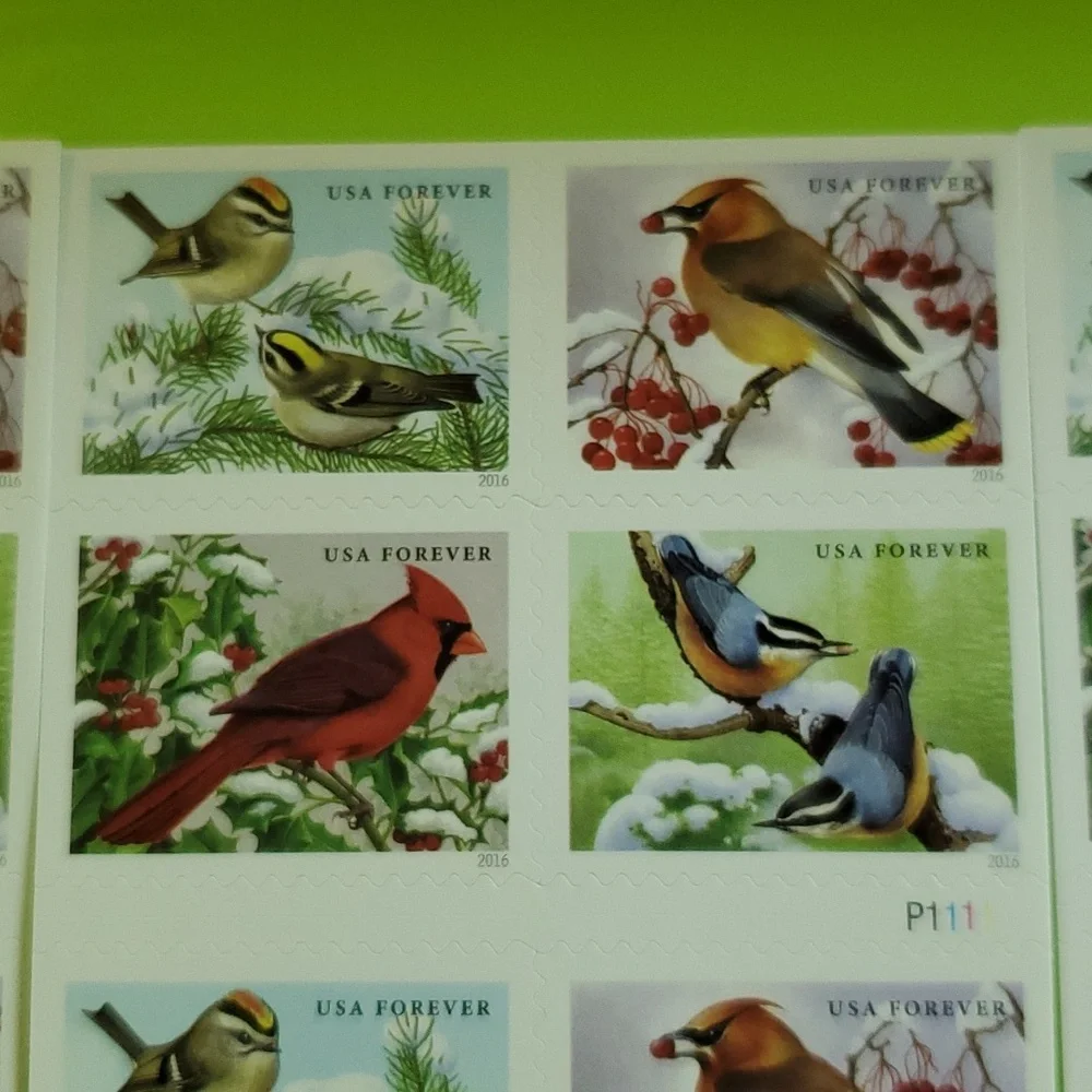 100 Songbirds in Snow Forever Postage Stamps US Postal USPS Wedding Invitations‎